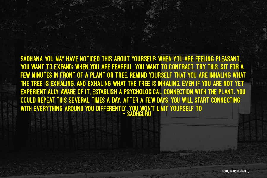 Connection With The One Quotes By Sadhguru Connection With The One Quotes By Sadhguru