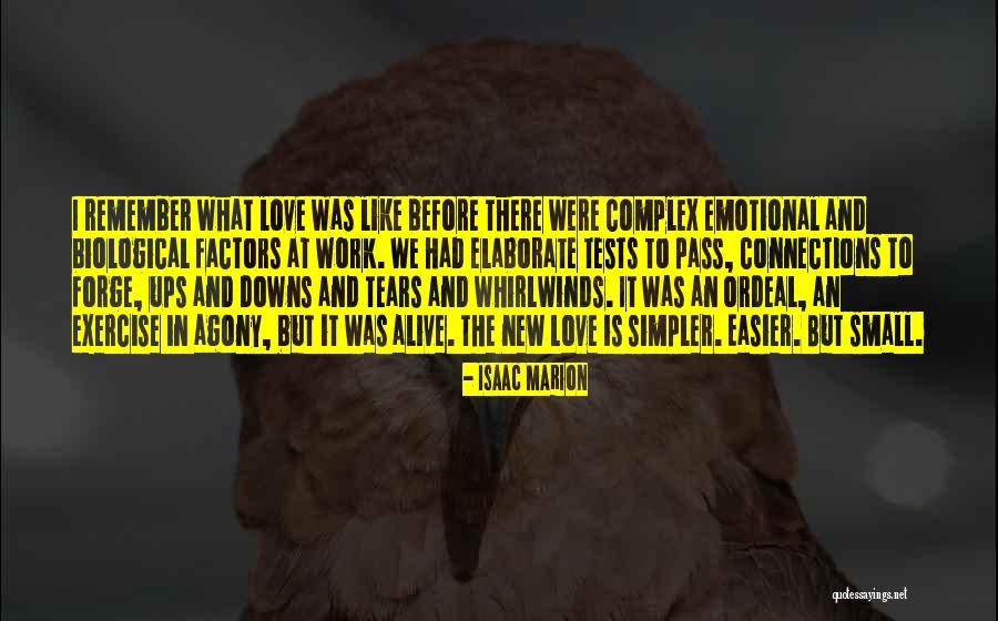 Connections In Love Quotes By Isaac Marion Connections In Love Quotes By Isaac Marion
