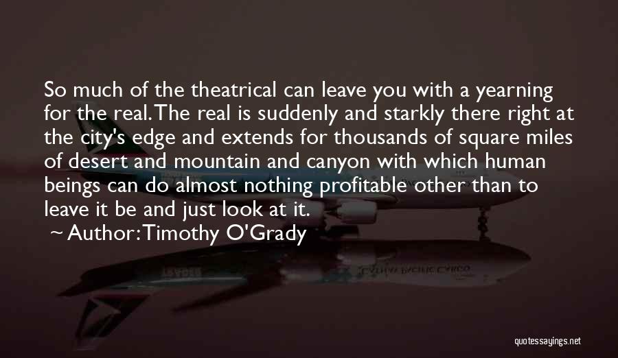 Connections Quotes By Timothy O'Grady