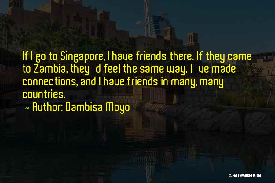 Connections With Friends Quotes By Dambisa Moyo