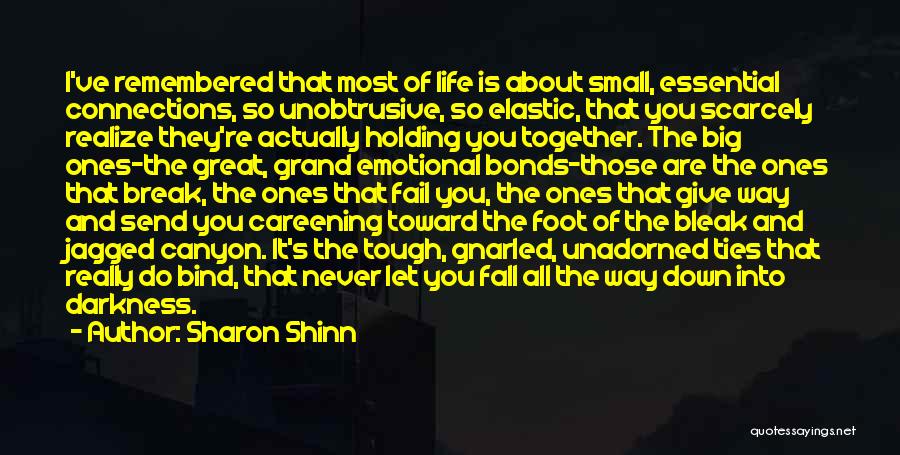 Connections With Friends Quotes By Sharon Shinn