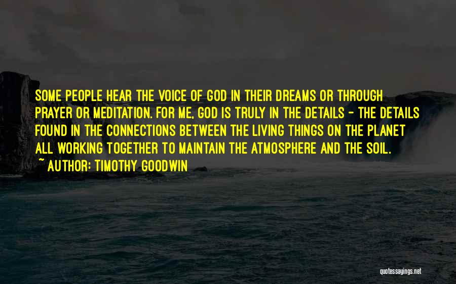 Connections With God Quotes By Timothy Goodwin