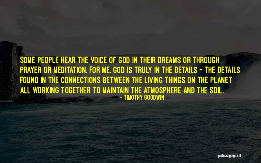 Connections With God Quotes By Timothy Goodwin