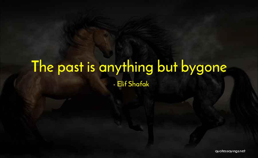 Connectome Annotator Quotes By Elif Shafak Connectome Annotator Quotes By Elif Shafak