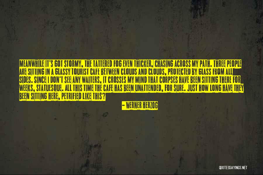 Connery Wife Quotes By Werner Herzog