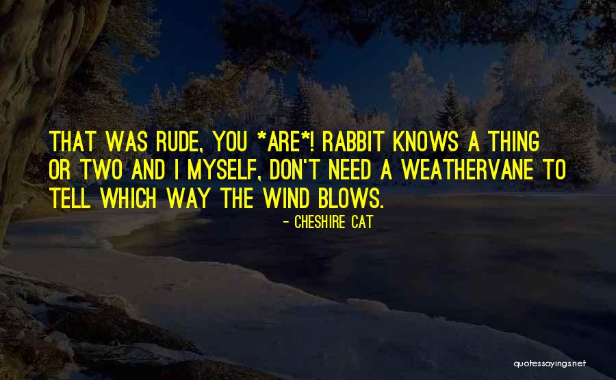 Connessione Sicura Quotes By Cheshire Cat Connessione Sicura Quotes By Cheshire Cat