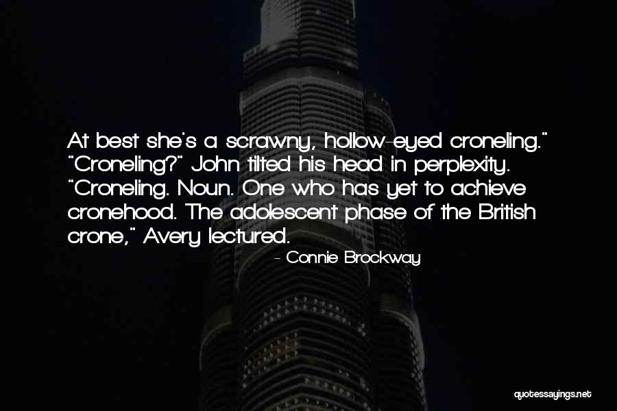 Connie Brockway Quotes 409763