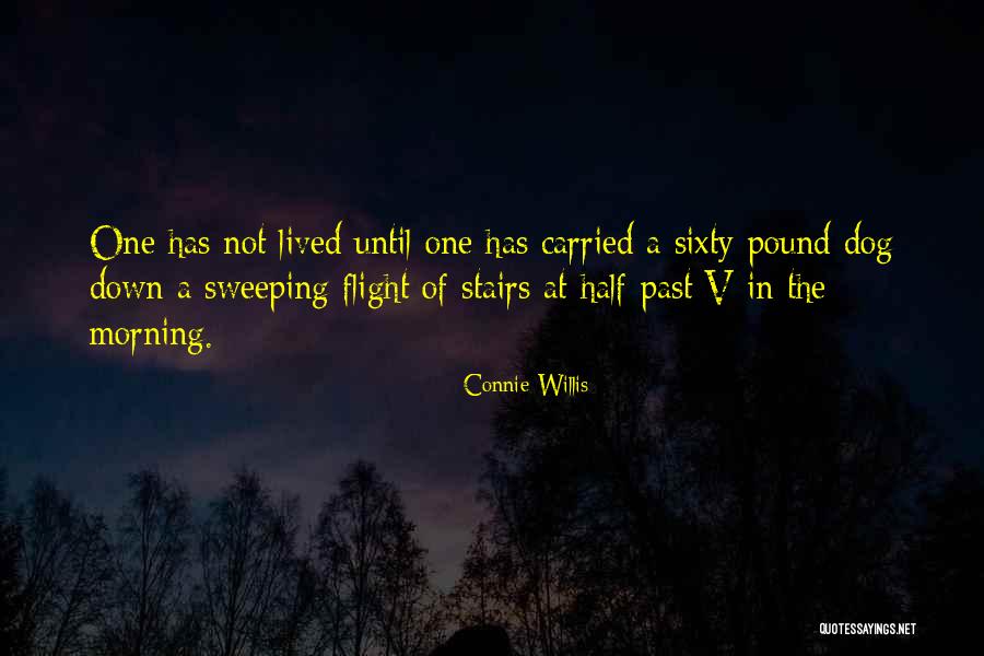 Connie Willis Quotes 1455853 Connie Willis Quotes 1455853