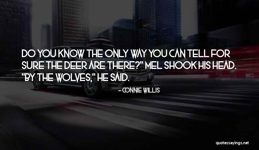 Connie Willis Quotes 854480 Connie Willis Quotes 854480