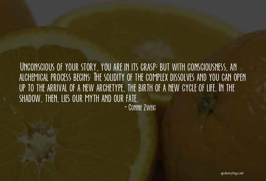 Connie Zweig Quotes 2157073