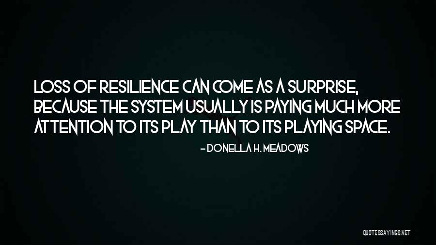 Connies Components Quotes By Donella H. Meadows Connies Components Quotes By Donella H. Meadows