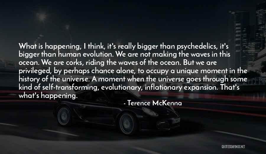 Conniption Band Quotes By Terence McKenna Conniption Band Quotes By Terence McKenna