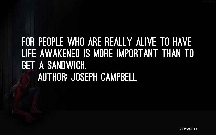 Connosco Priberam Quotes By Joseph Campbell