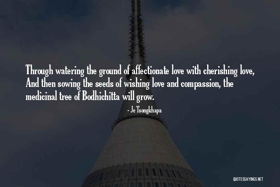 Conocereis De Verdad Quotes By Je Tsongkhapa Conocereis De Verdad Quotes By Je Tsongkhapa