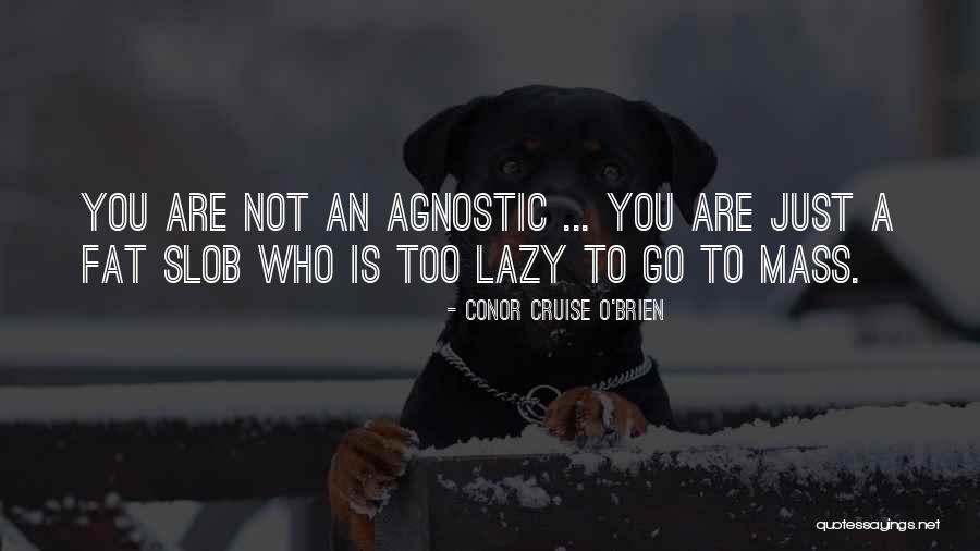 Conor Cruise O'Brien Quotes 1386385 Conor Cruise O'Brien Quotes 1386385