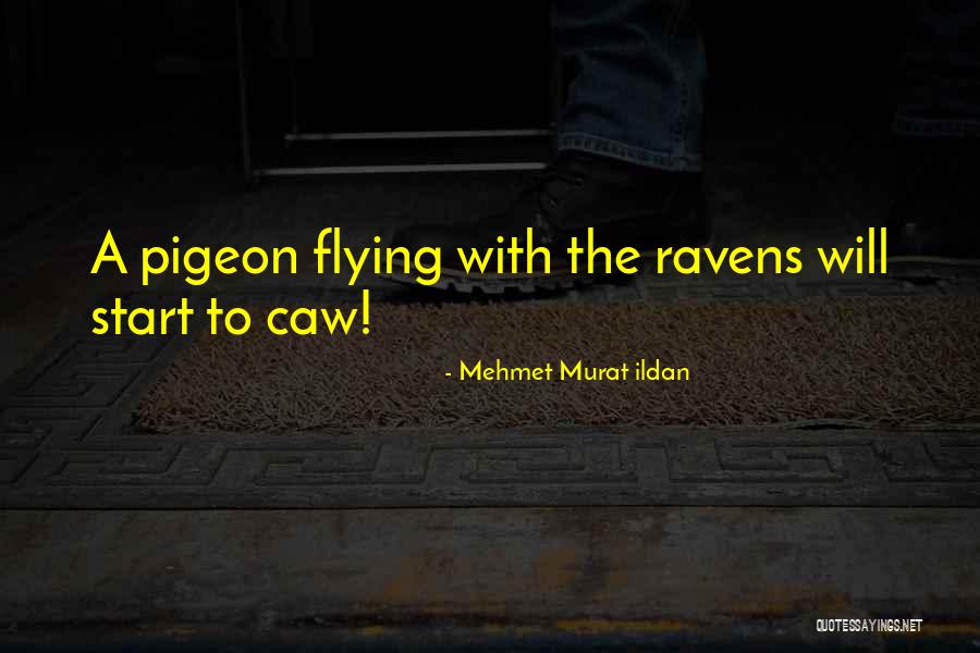 Conquering The Enemy Quotes By Mehmet Murat Ildan Conquering The Enemy Quotes By Mehmet Murat Ildan
