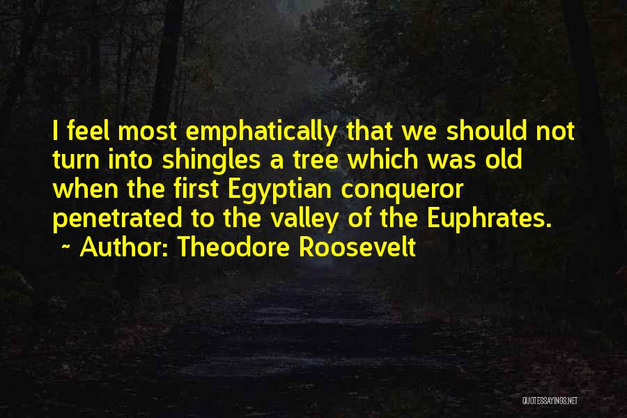 Conqueror Quotes By Theodore Roosevelt
