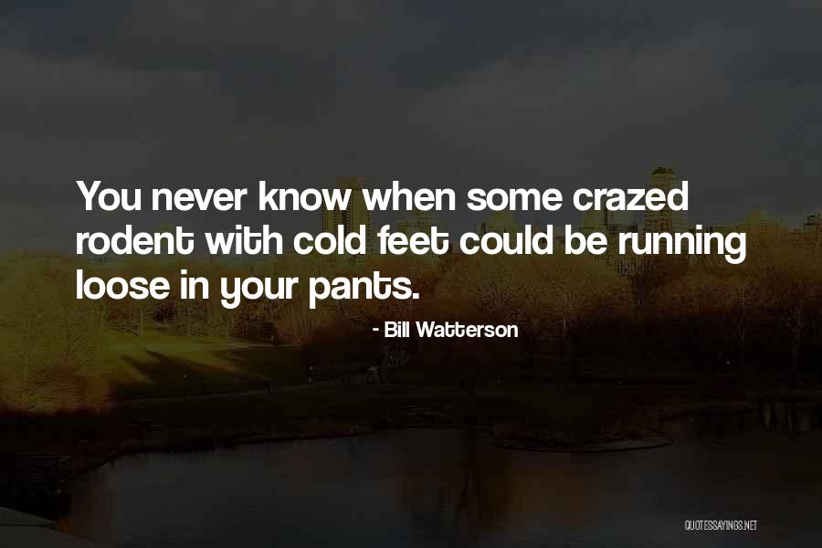 Conquest Of Gaul Quotes By Bill Watterson Conquest Of Gaul Quotes By Bill Watterson