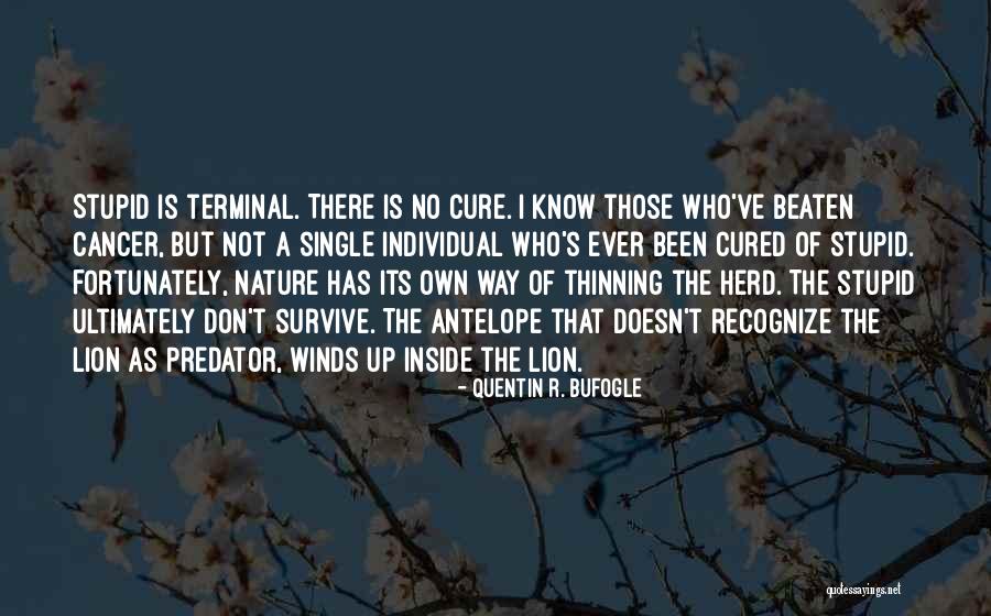 Conquistadores Adventum Quotes By Quentin R. Bufogle Conquistadores Adventum Quotes By Quentin R. Bufogle