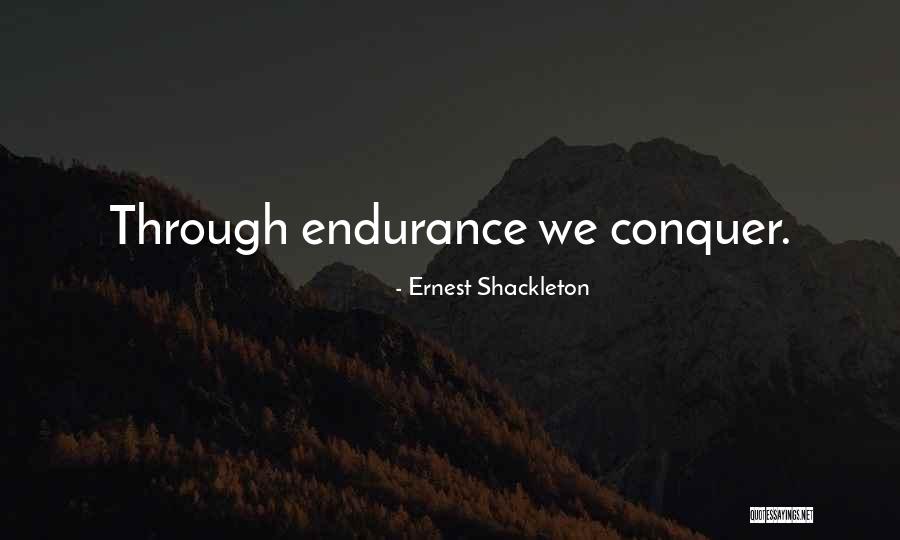 Consagrada Sinonimo Quotes By Ernest Shackleton Consagrada Sinonimo Quotes By Ernest Shackleton