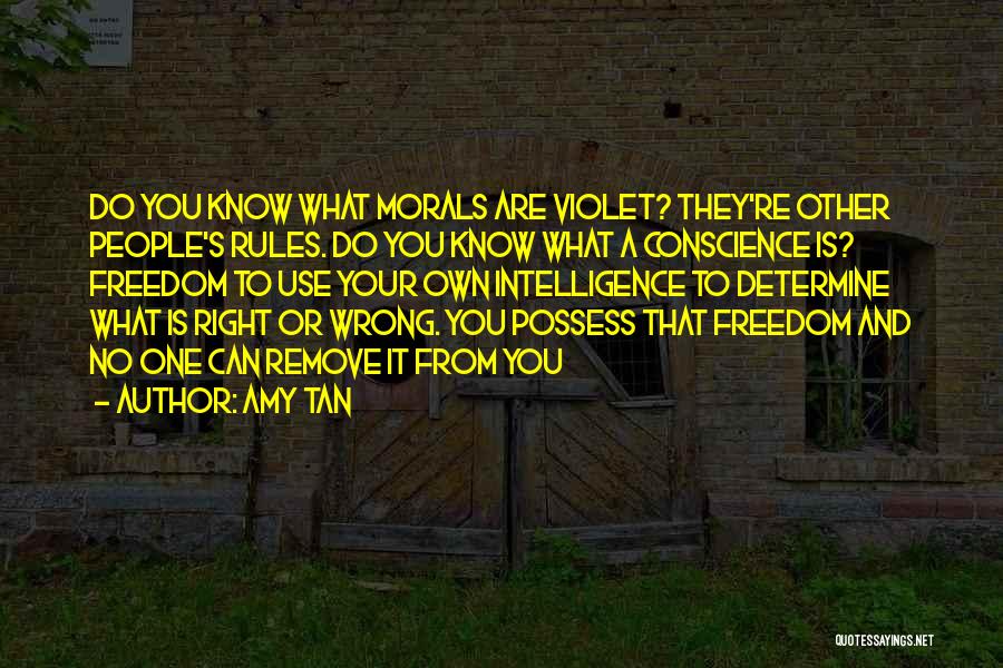 Conscience And Freedom Quotes By Amy Tan