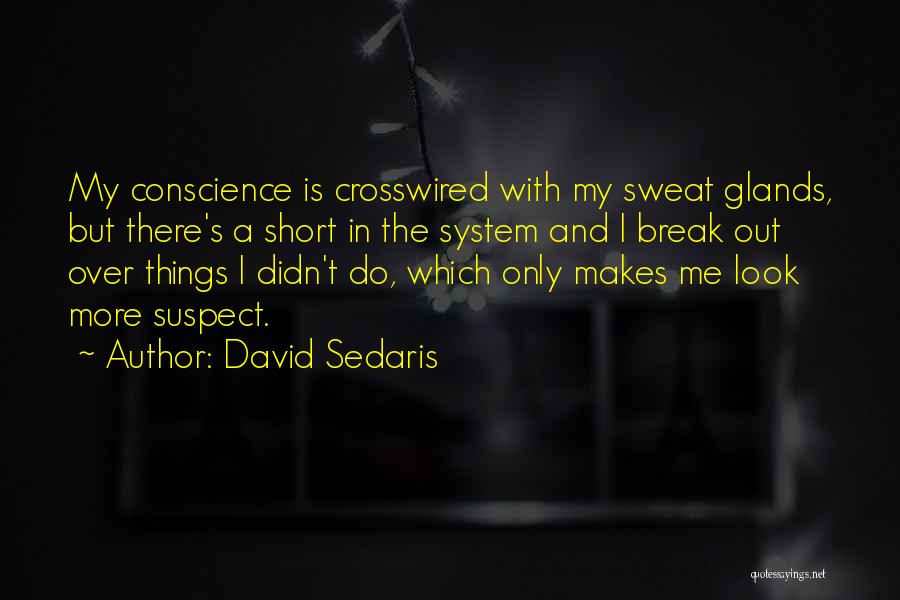 Conscience And Guilt Quotes By David Sedaris