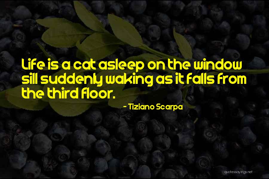 Consciencia Moral Quotes By Tiziano Scarpa Consciencia Moral Quotes By Tiziano Scarpa