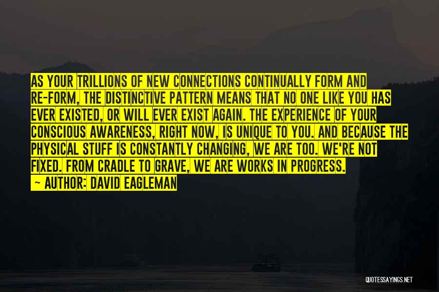 Conscious Awareness Quotes By David Eagleman