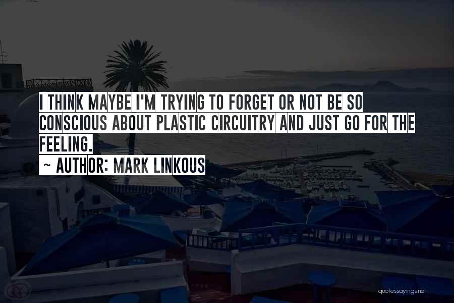 Conscious Thinking Quotes By Mark Linkous