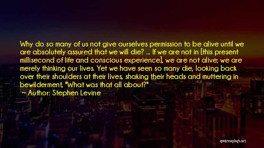 Conscious Thinking Quotes By Stephen Levine