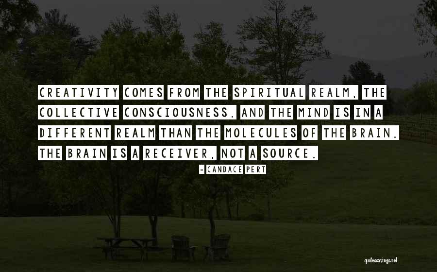 Consciousness In The Brain Quotes By Candace Pert Consciousness In The Brain Quotes By Candace Pert