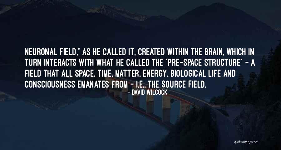 Consciousness In The Brain Quotes By David Wilcock Consciousness In The Brain Quotes By David Wilcock