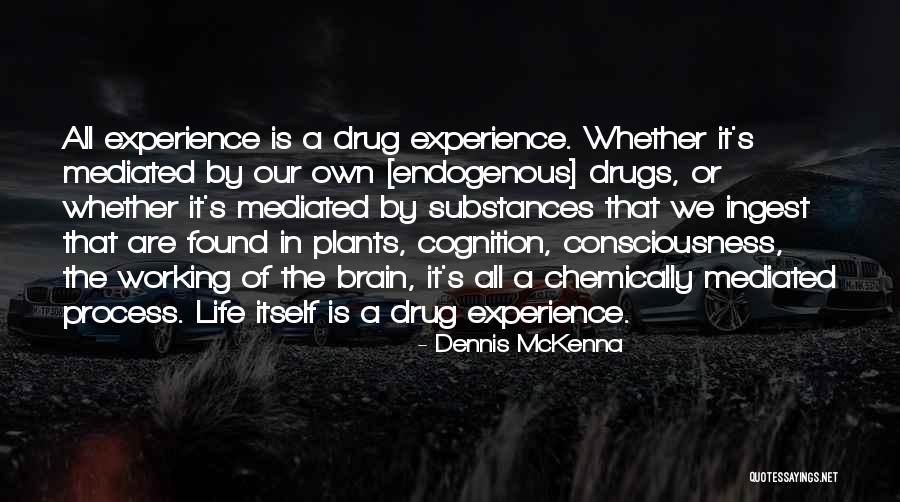 Consciousness In The Brain Quotes By Dennis McKenna Consciousness In The Brain Quotes By Dennis McKenna