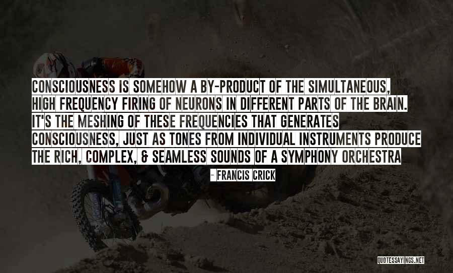 Consciousness In The Brain Quotes By Francis Crick Consciousness In The Brain Quotes By Francis Crick