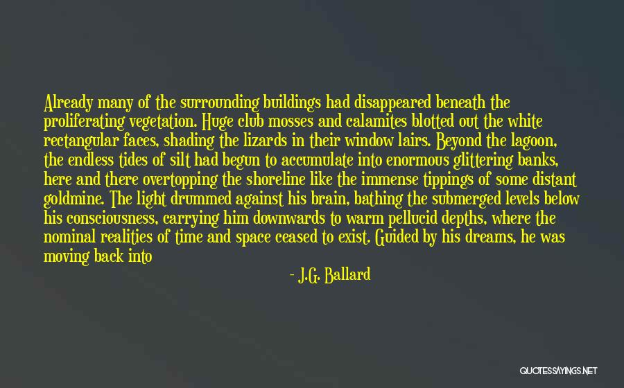 Consciousness In The Brain Quotes By J.G. Ballard Consciousness In The Brain Quotes By J.G. Ballard