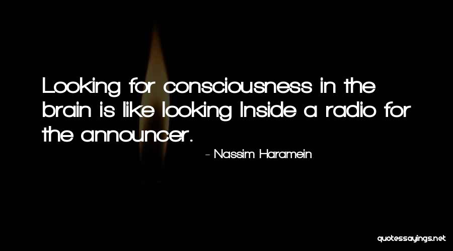Consciousness In The Brain Quotes By Nassim Haramein Consciousness In The Brain Quotes By Nassim Haramein