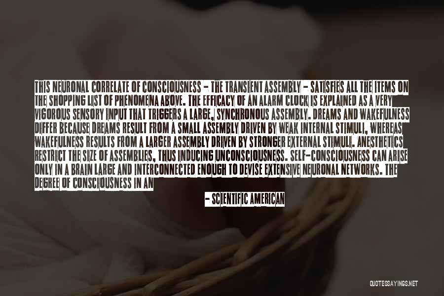 Consciousness In The Brain Quotes By Scientific American Consciousness In The Brain Quotes By Scientific American