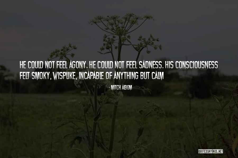Consciousness Quotes By Mitch Albom Consciousness Quotes By Mitch Albom