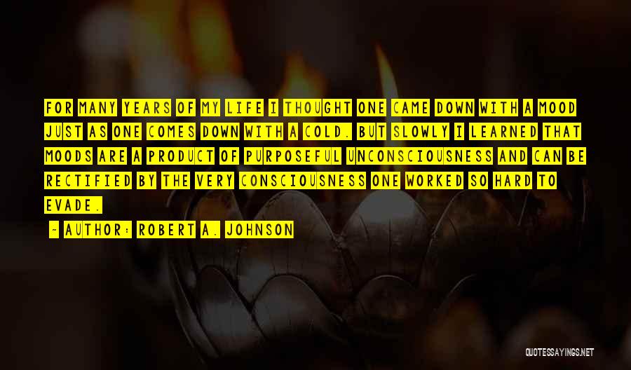 Consciousness Quotes By Robert A. Johnson