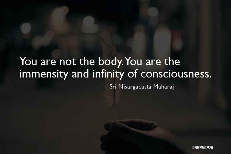 Consciousness Quotes By Sri Nisargadatta Maharaj Consciousness Quotes By Sri Nisargadatta Maharaj