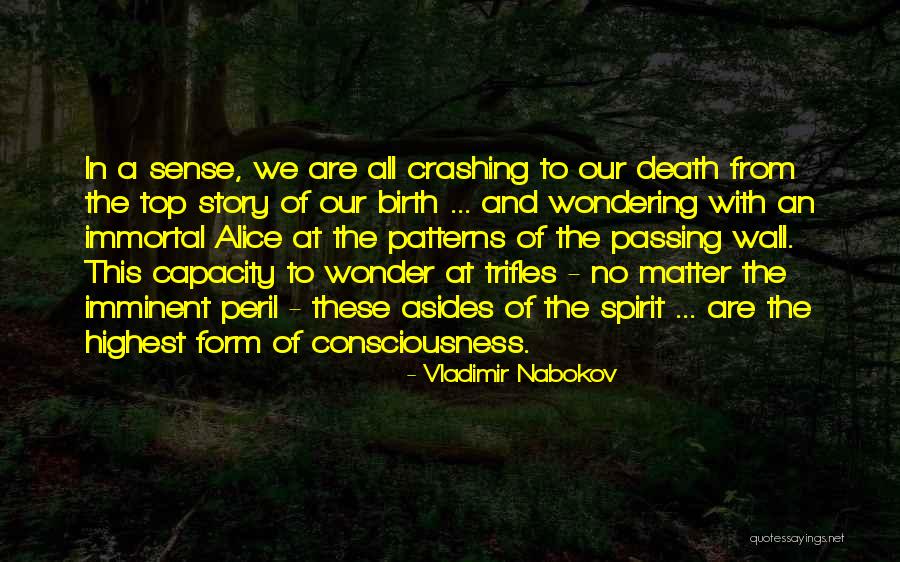 Consciousness Quotes And Quotes By Vladimir Nabokov Consciousness Quotes And Quotes By Vladimir Nabokov