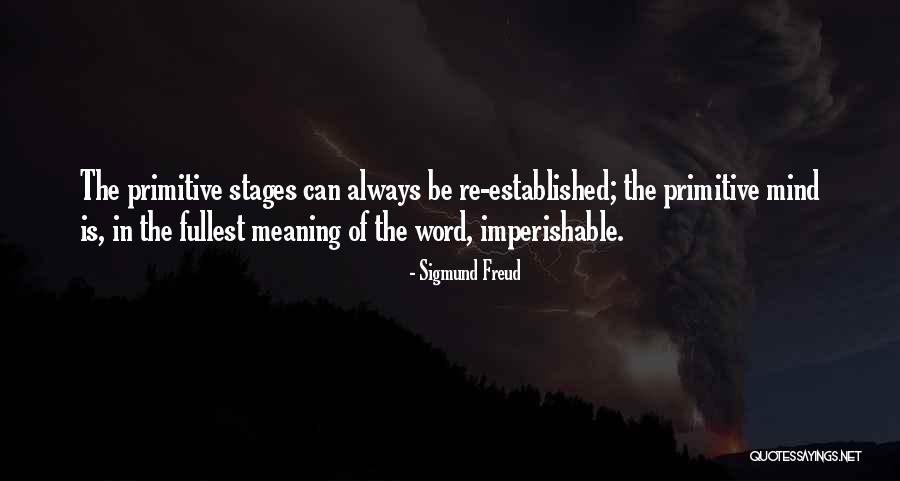 Consciousness The Grand Quotes By Sigmund Freud