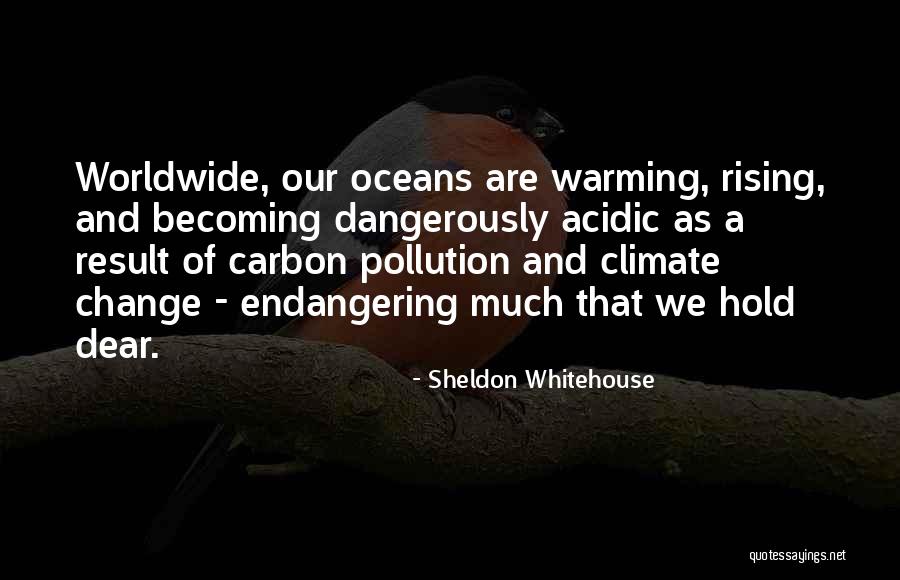 Conseguir Sinonimo Quotes By Sheldon Whitehouse Conseguir Sinonimo Quotes By Sheldon Whitehouse