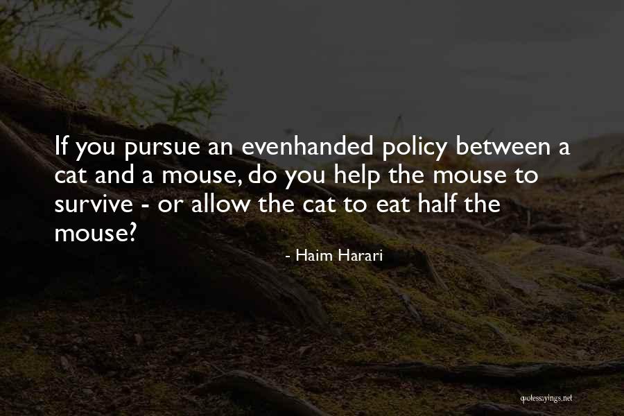 Conseguiu Resolver Quotes By Haim Harari Conseguiu Resolver Quotes By Haim Harari