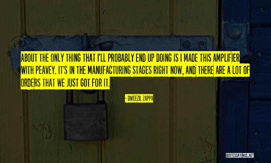 Conselho Quotes By Dweezil Zappa