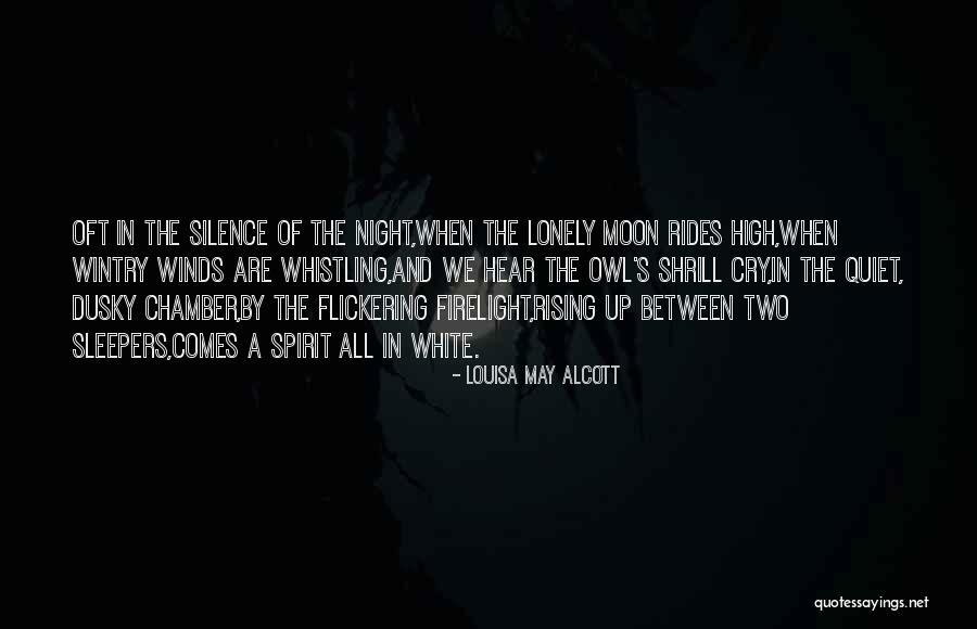 Consequential Validity Quotes By Louisa May Alcott Consequential Validity Quotes By Louisa May Alcott