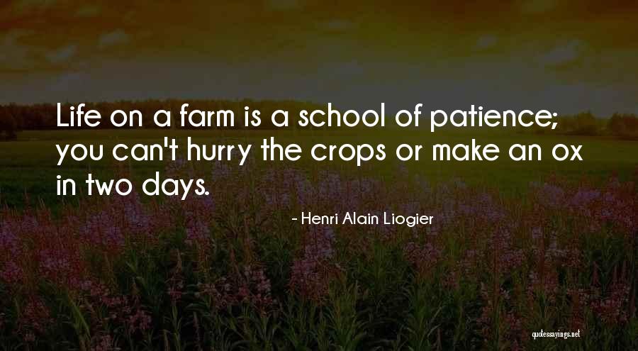 Conservadurismo Y Quotes By Henri Alain Liogier Conservadurismo Y Quotes By Henri Alain Liogier