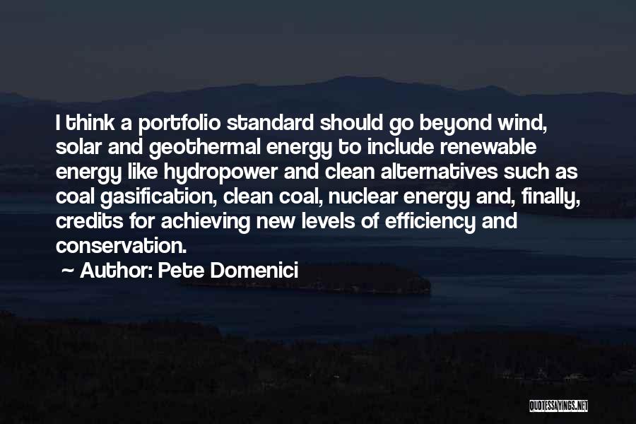 Conservation Of Energy Quotes By Pete Domenici