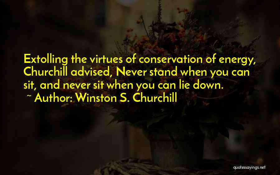 Conservation Of Energy Quotes By Winston S. Churchill