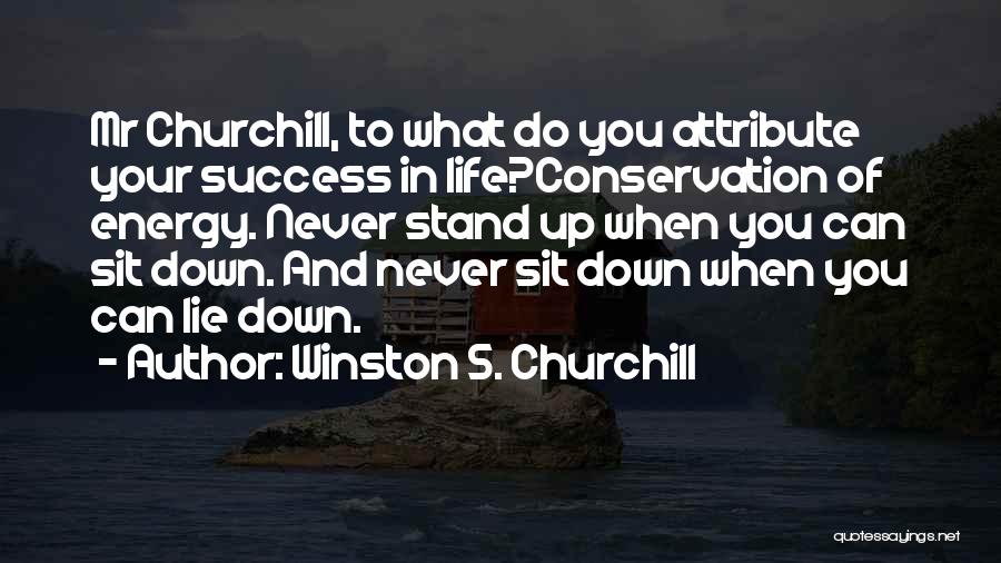 Conservation Of Energy Quotes By Winston S. Churchill